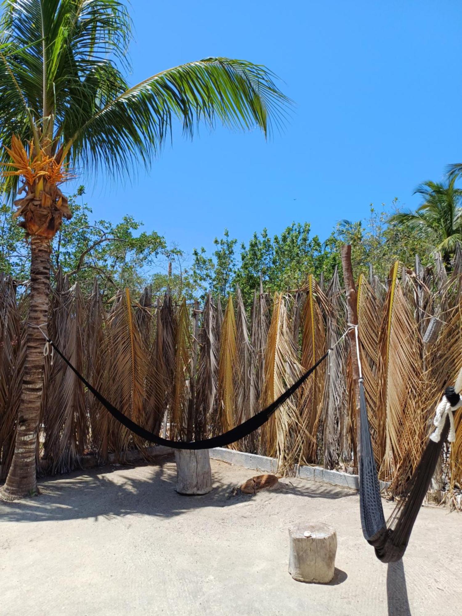 Casa Sofia Holbox Aparthotel Exterior photo